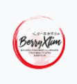 BerryXlim Shop